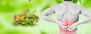 Ayurvedic Back Pain Treatments Lead To Improved Blood Circulation and Pain 1 Ayurvedic Back Pain Treatments