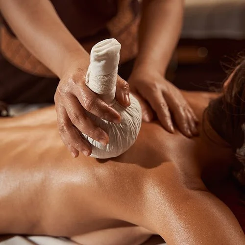 Potli Ayurvedic Treatment in Delhi NCR